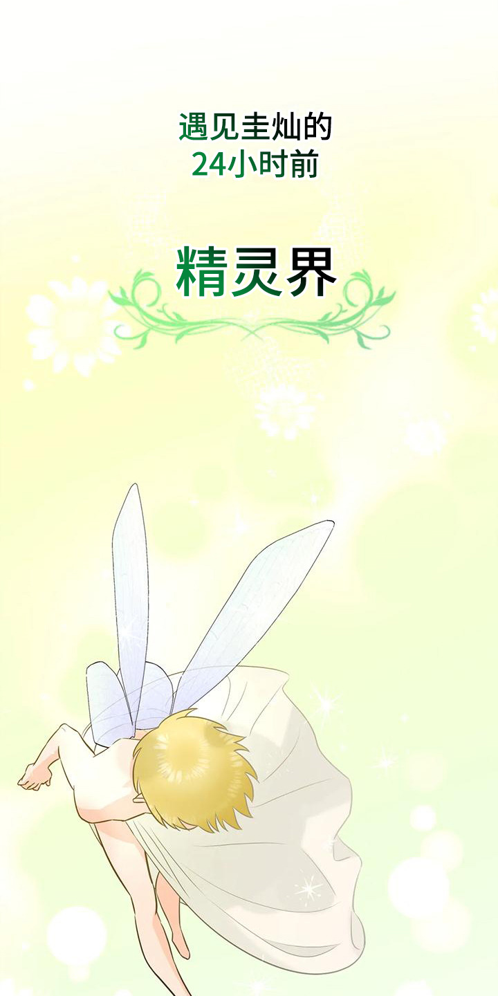 第6章：生命之花0
