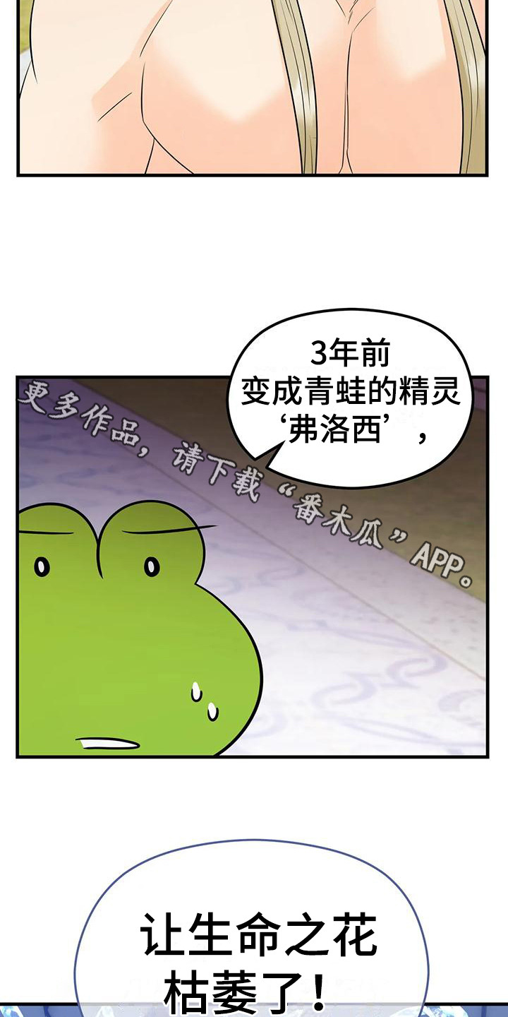 第6章：生命之花4