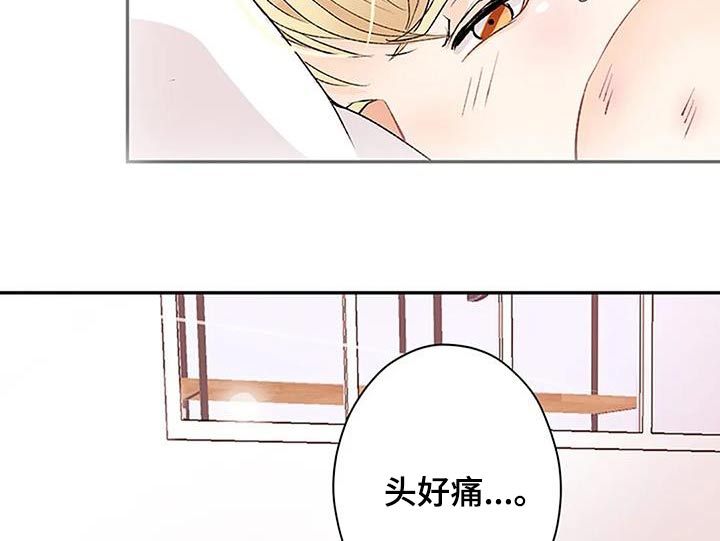 第29章：对不起1