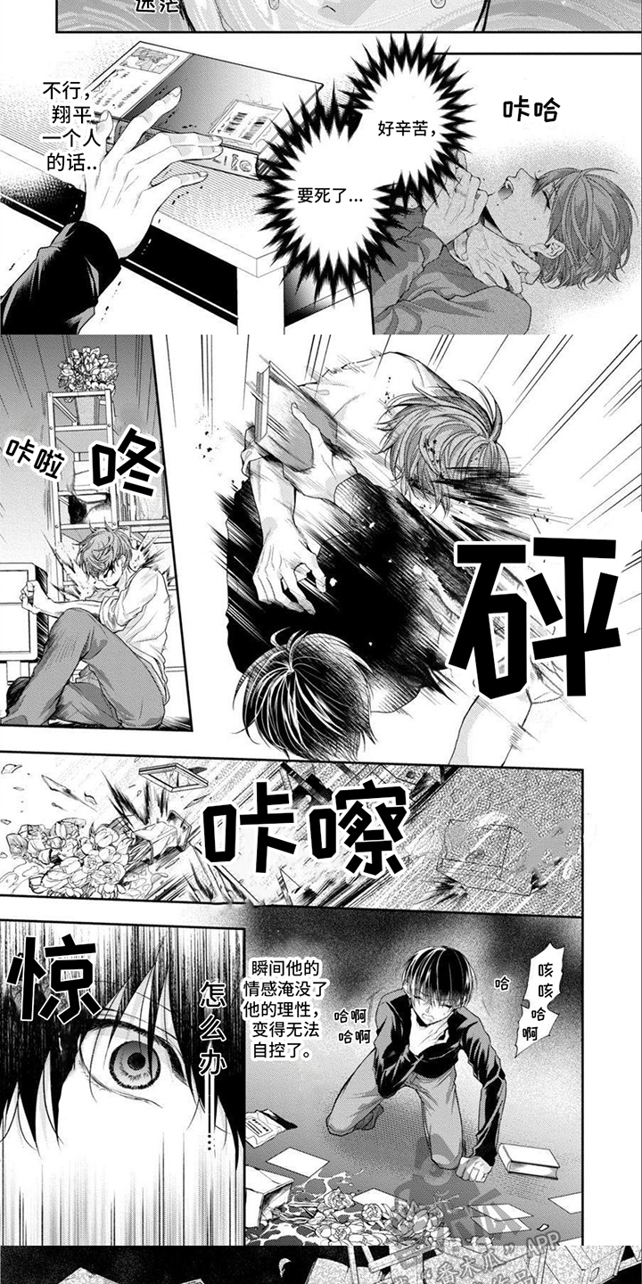 第14章：偏执4