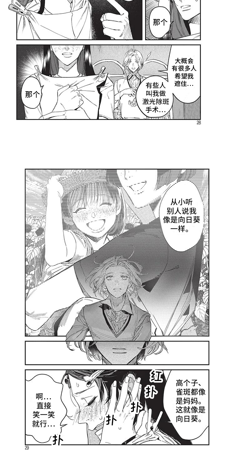 第3章：向日葵4