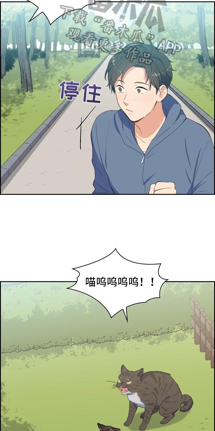 第7章：猫的纷争2