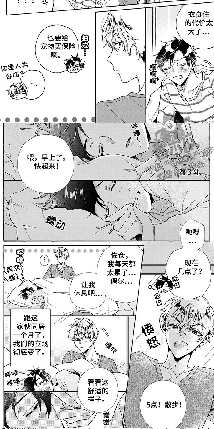 第5章：训练4