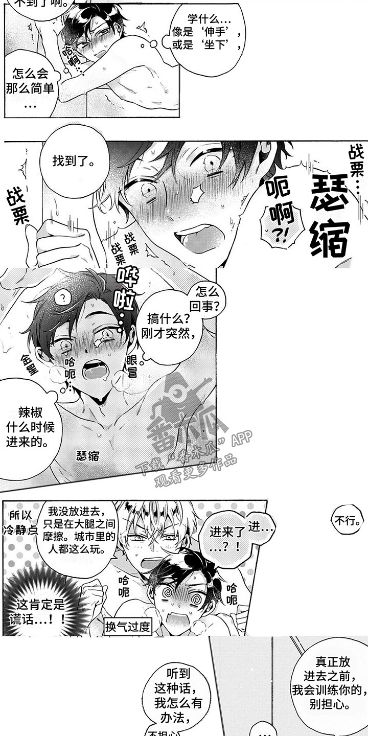 第5章：训练2