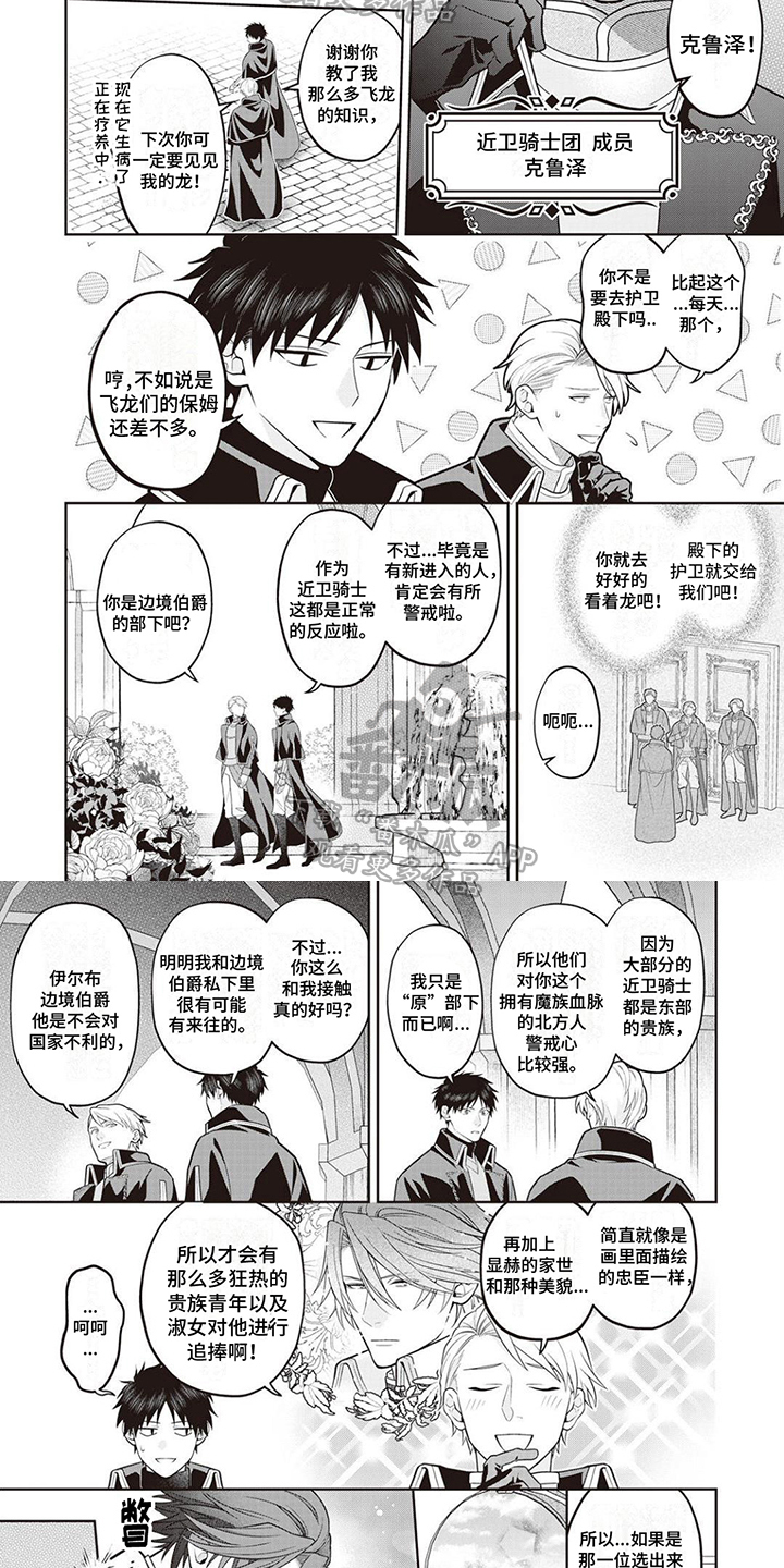 第11章：受欢迎3