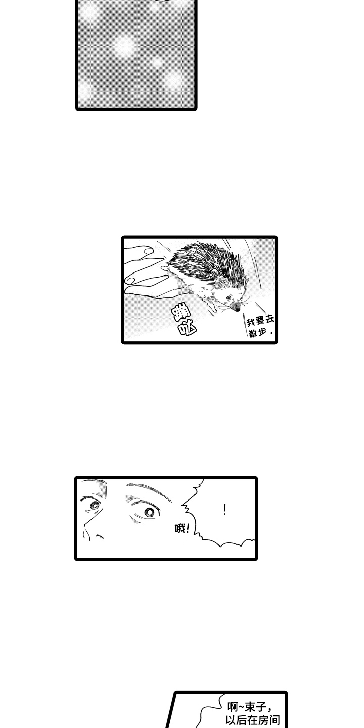 第17章：在意3