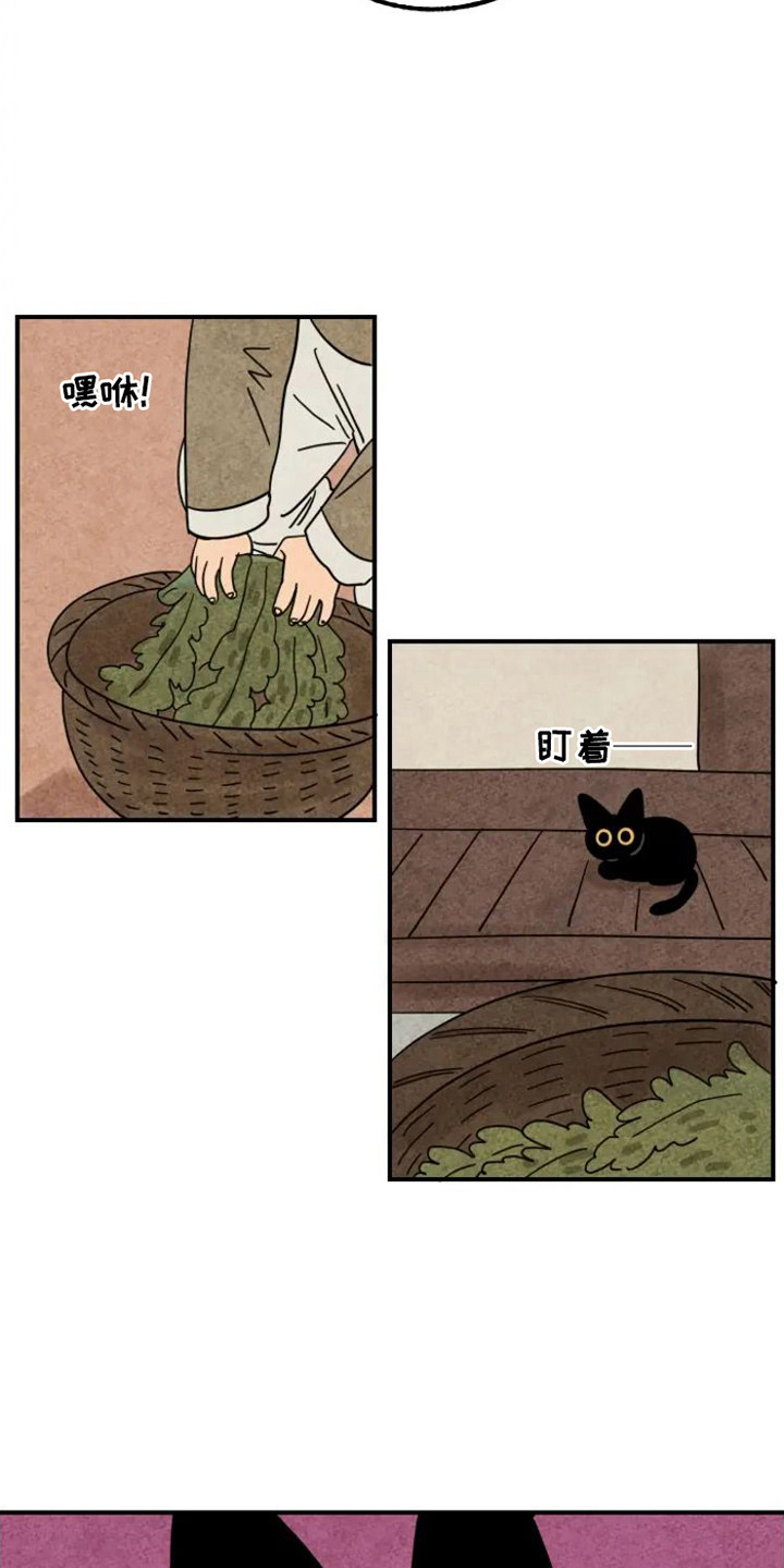 第28章：溺爱3