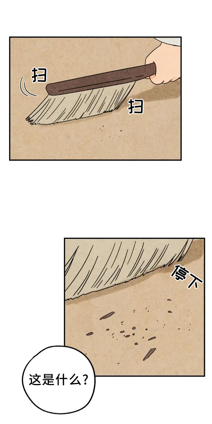 第39章：猫抓板0