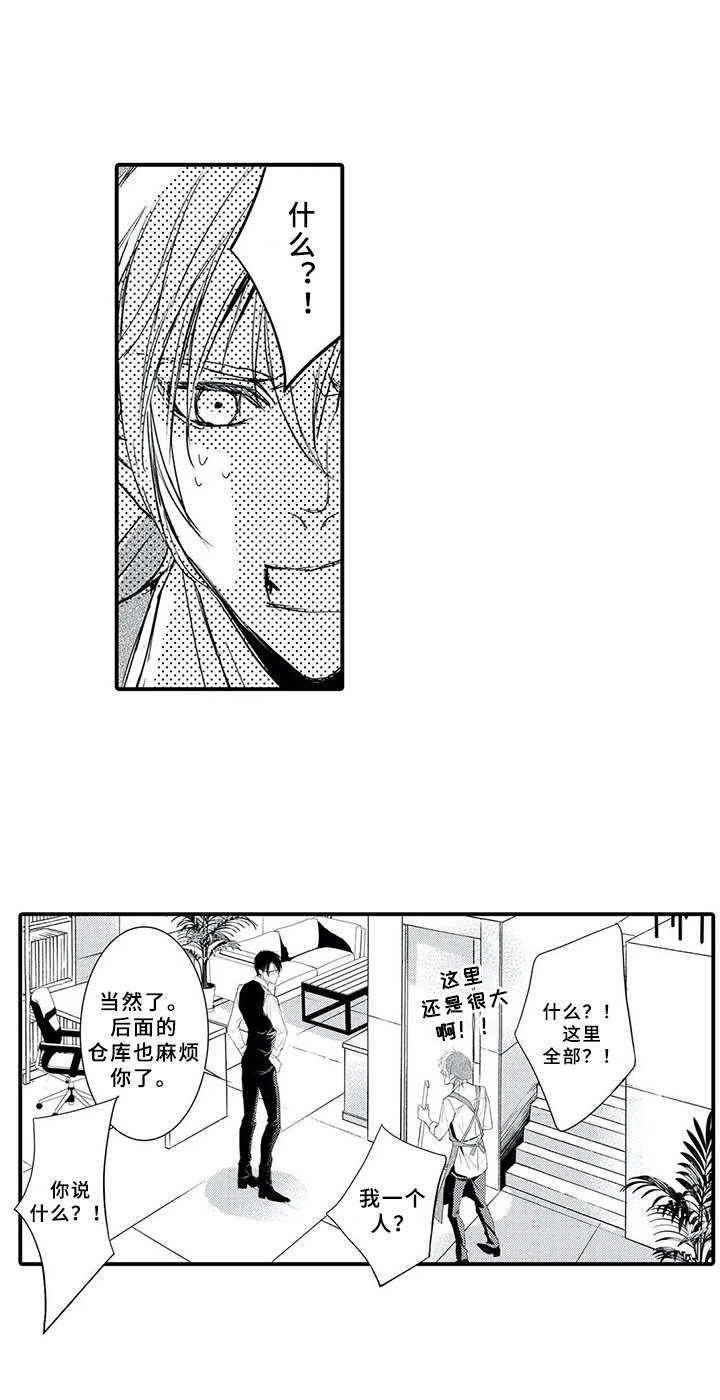 第11章：当成傻瓜2