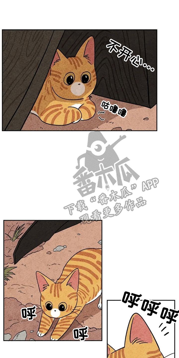 第62章：成长0
