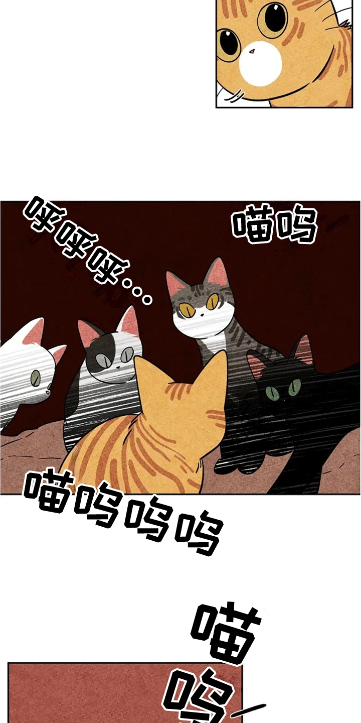 第62章：成长1