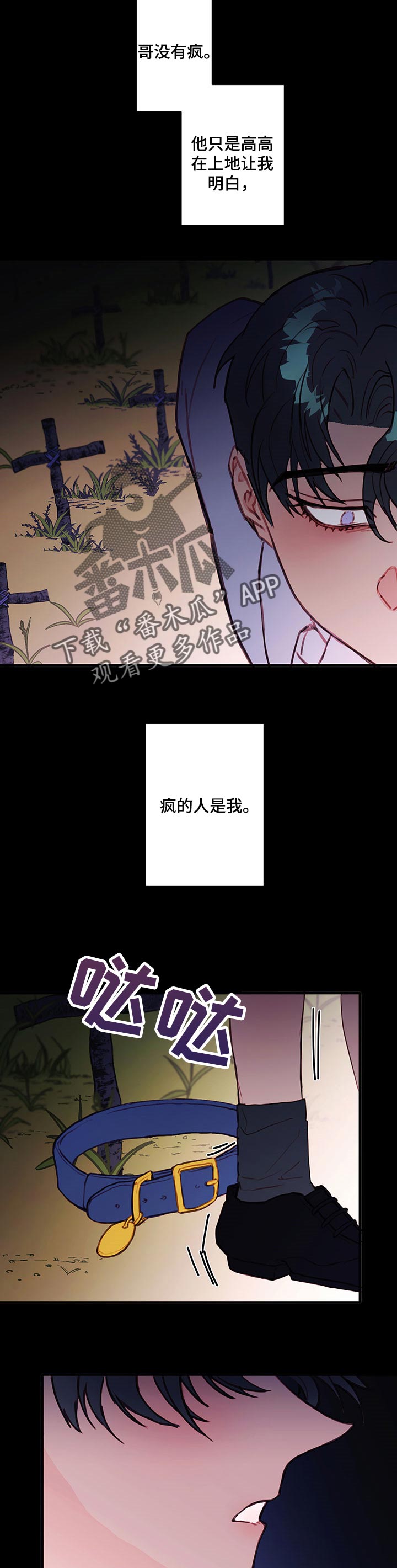 第66章：疯的人是我4