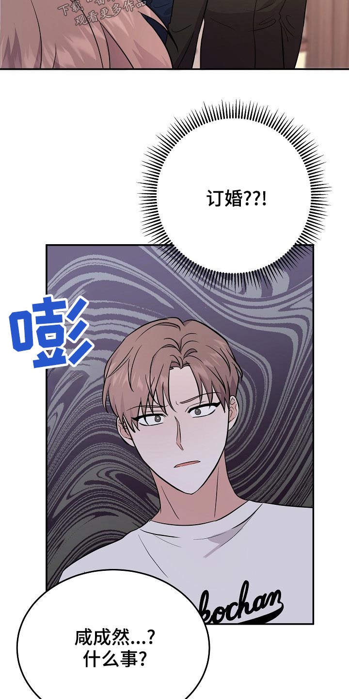 第47章：订婚4