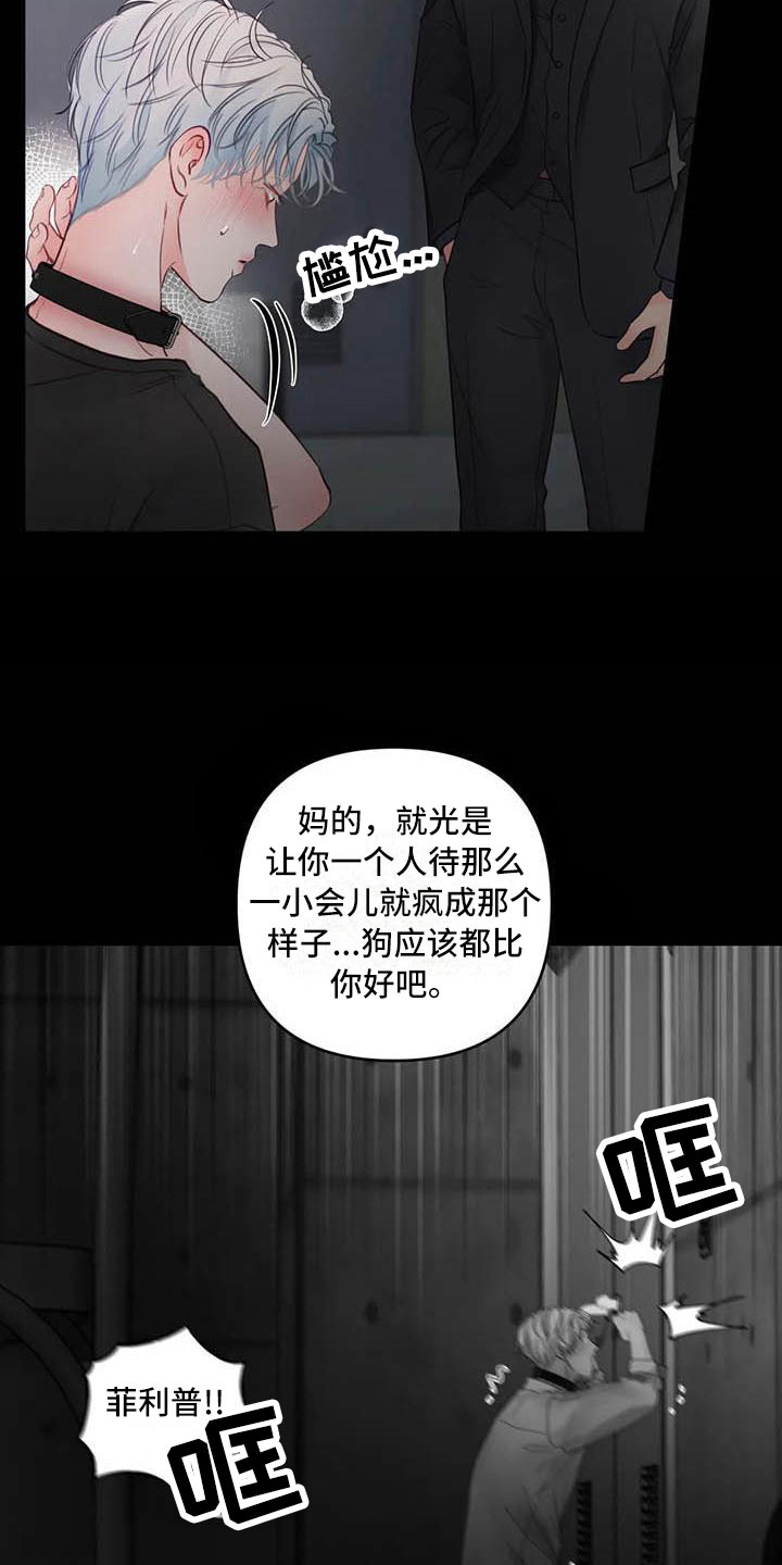 第20章：驯养：心爱的3