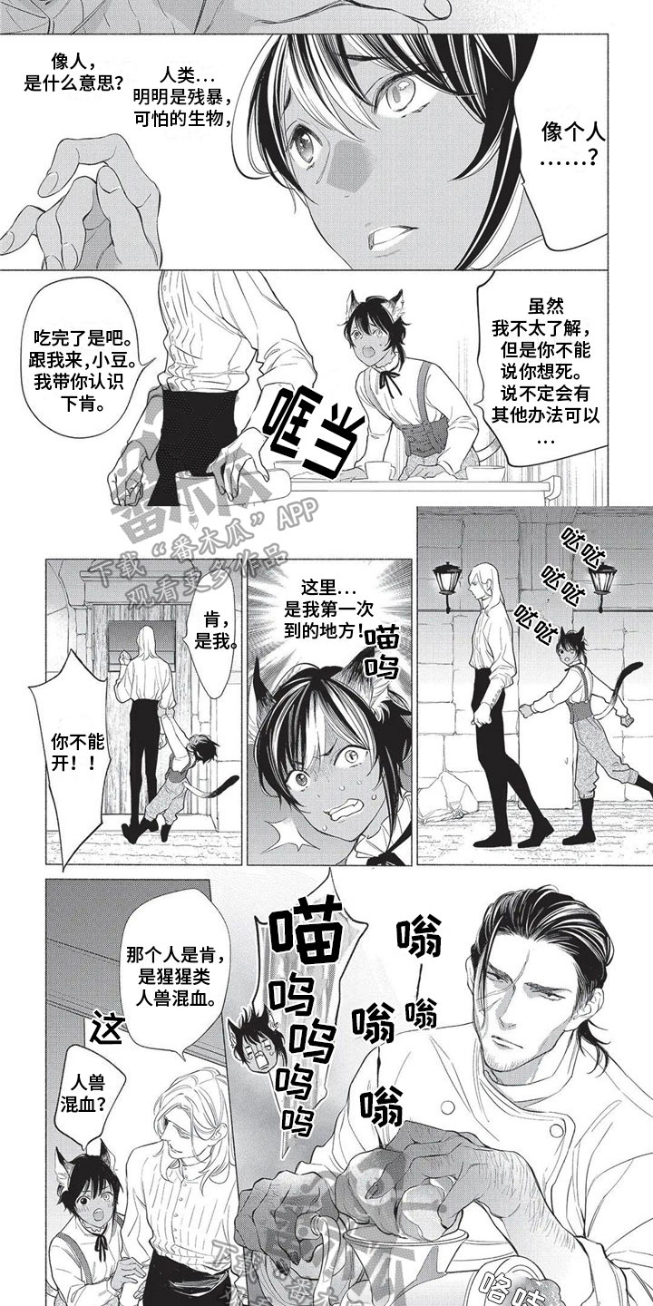 第20章：原因3
