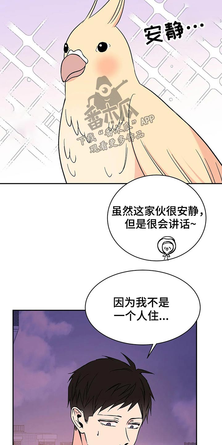 第30章：鹦鹉3