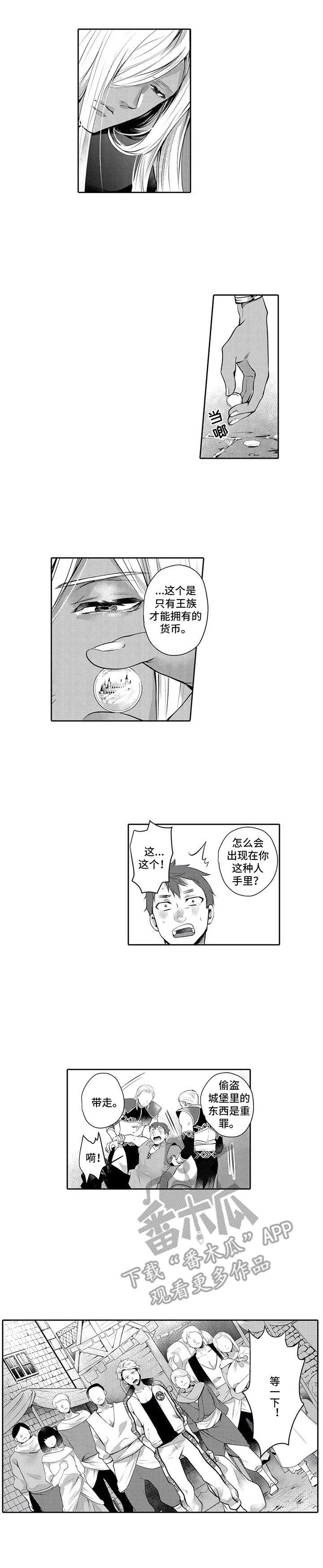 第13章：王族0