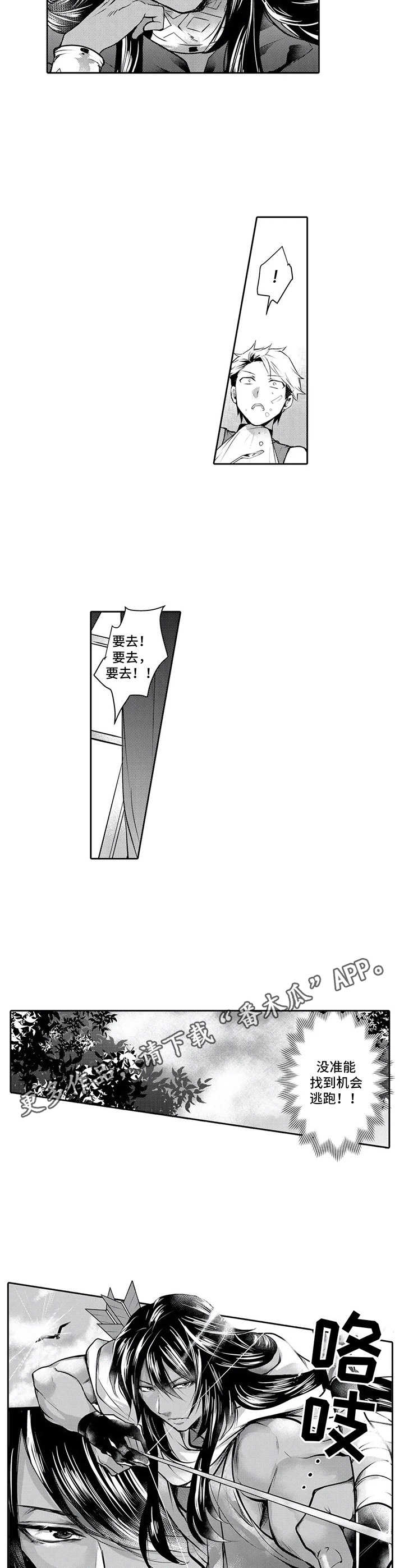 第6章：散步4