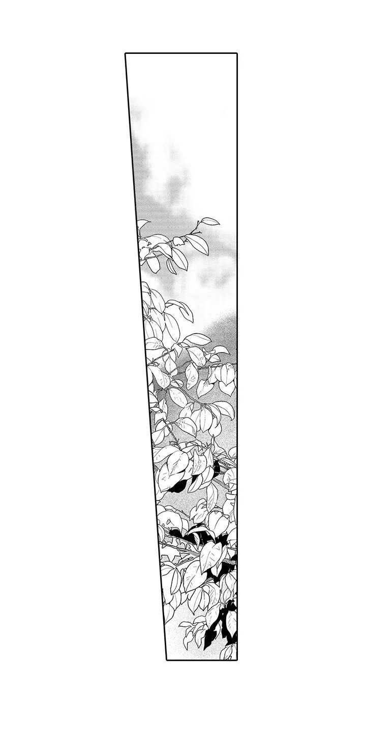 第3章：摘果子4