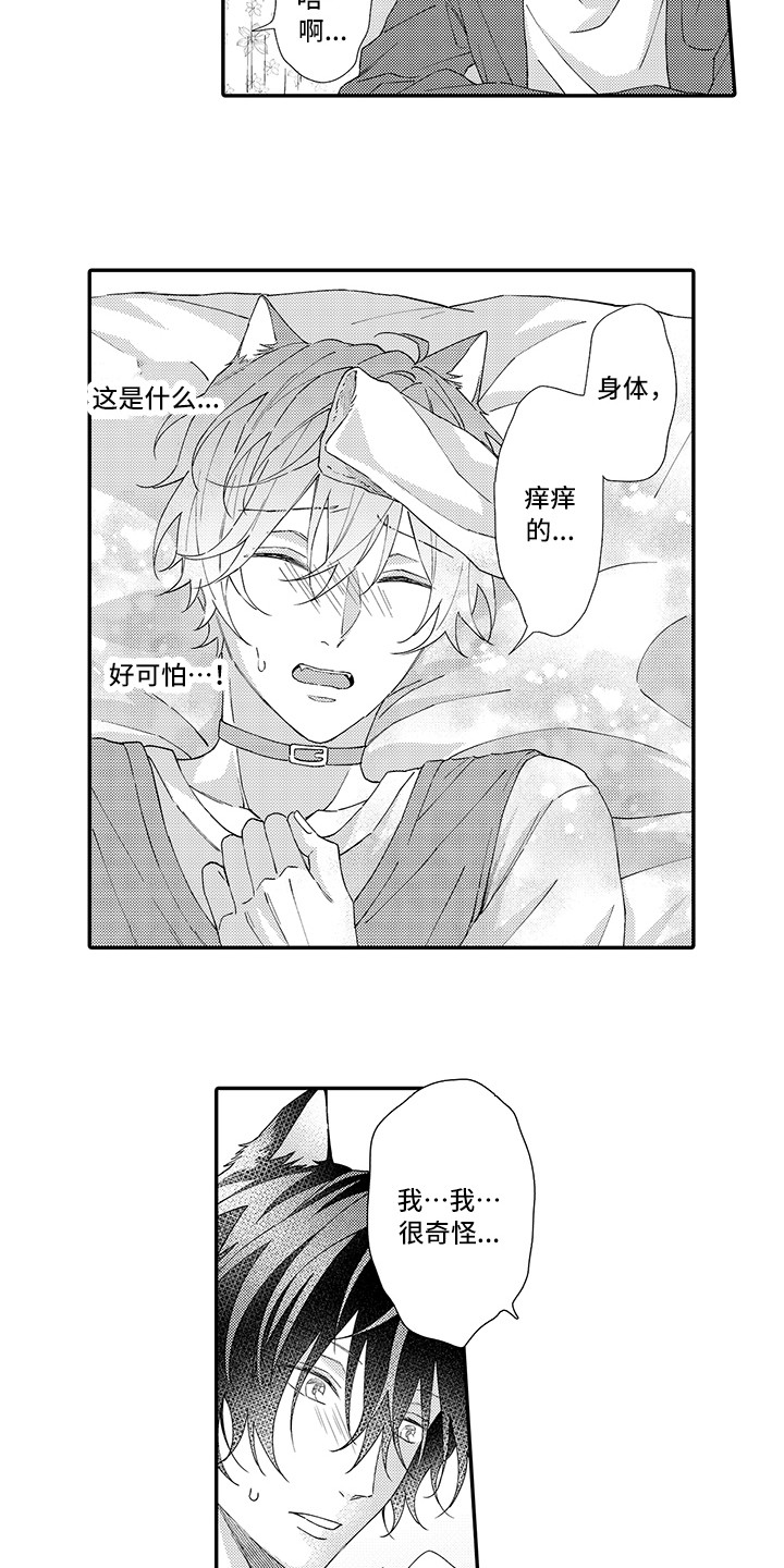 第4章：照顾1