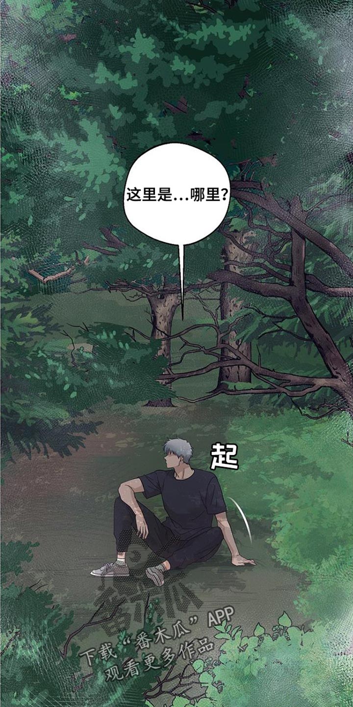 第14章：似曾相识的梦1