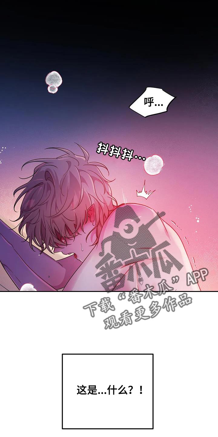 第65章：【第二季】我很期待0