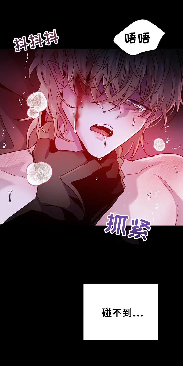 第53章：【第二季】宠物1