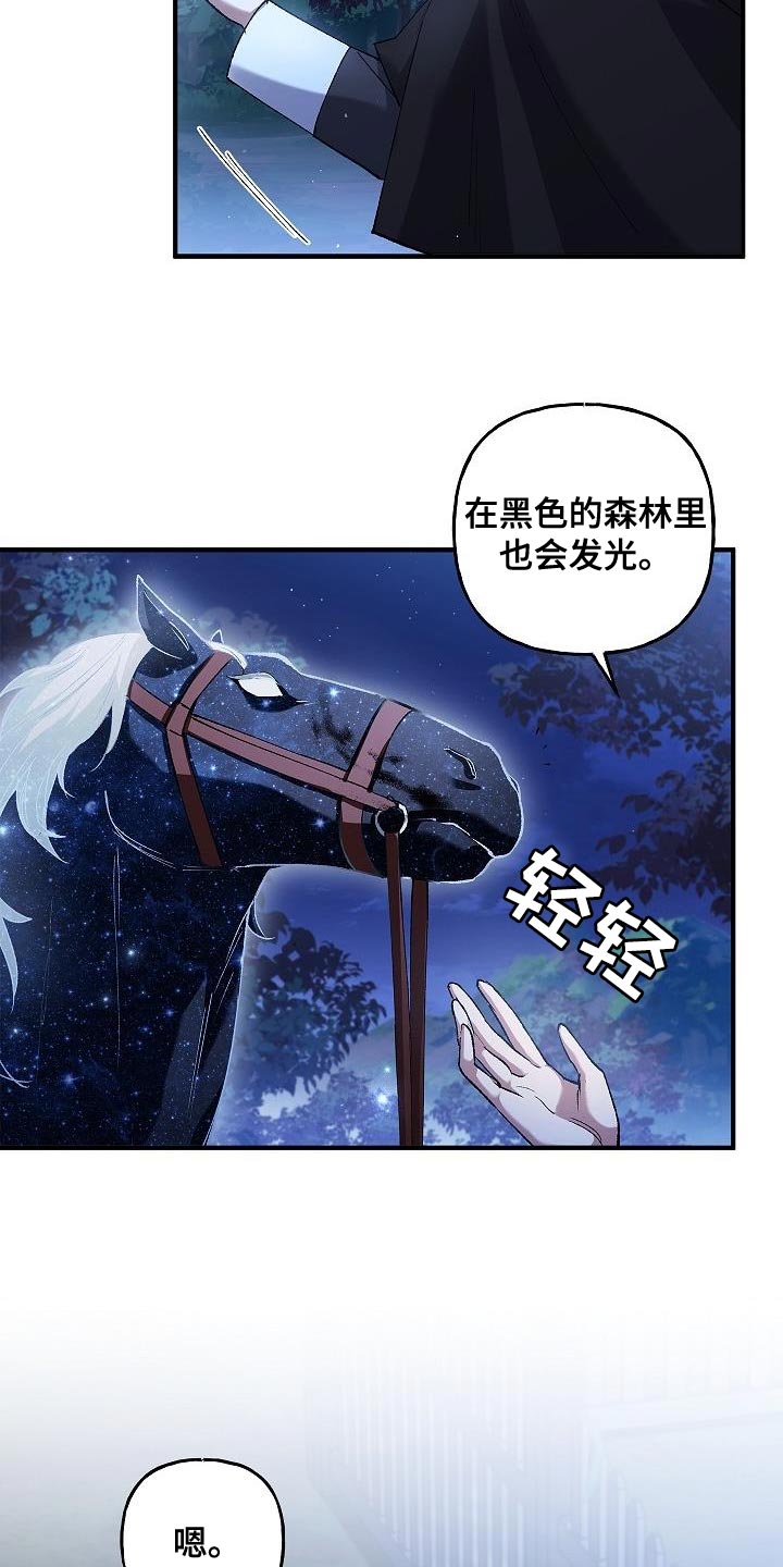 第37章：相同的问题4
