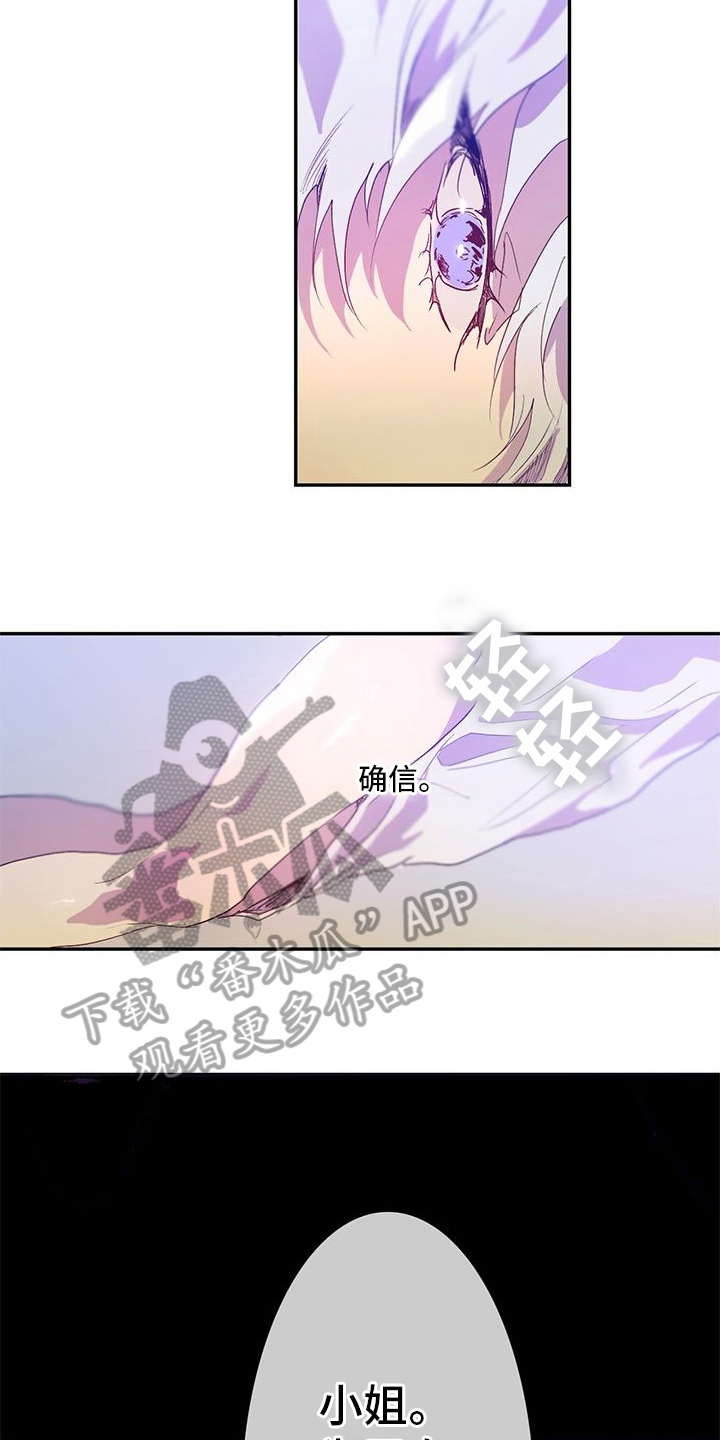 第11章：确定2