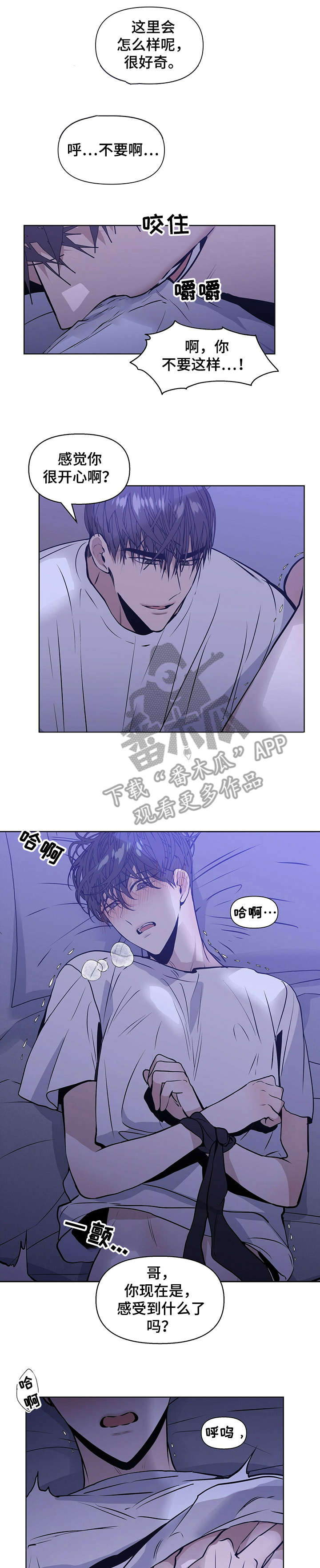 第15章：是不是2