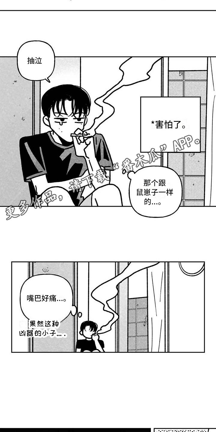 第8章：炫耀3