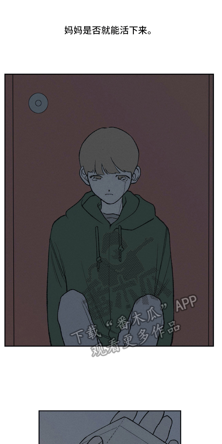 第17章：谎言3