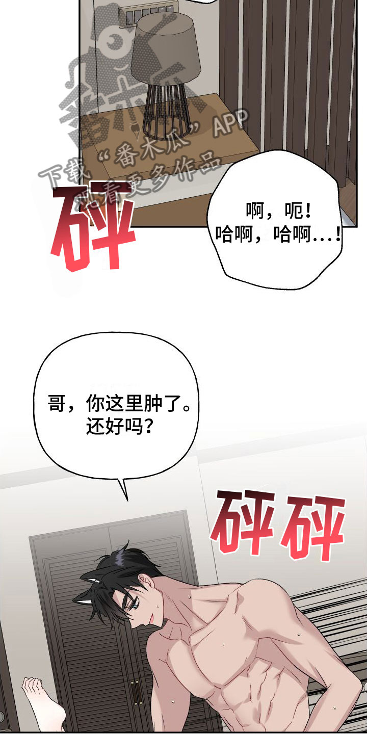 第34章：订婚骗局：真的喜欢【完】3