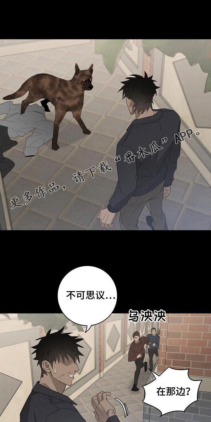 第16章：带走0