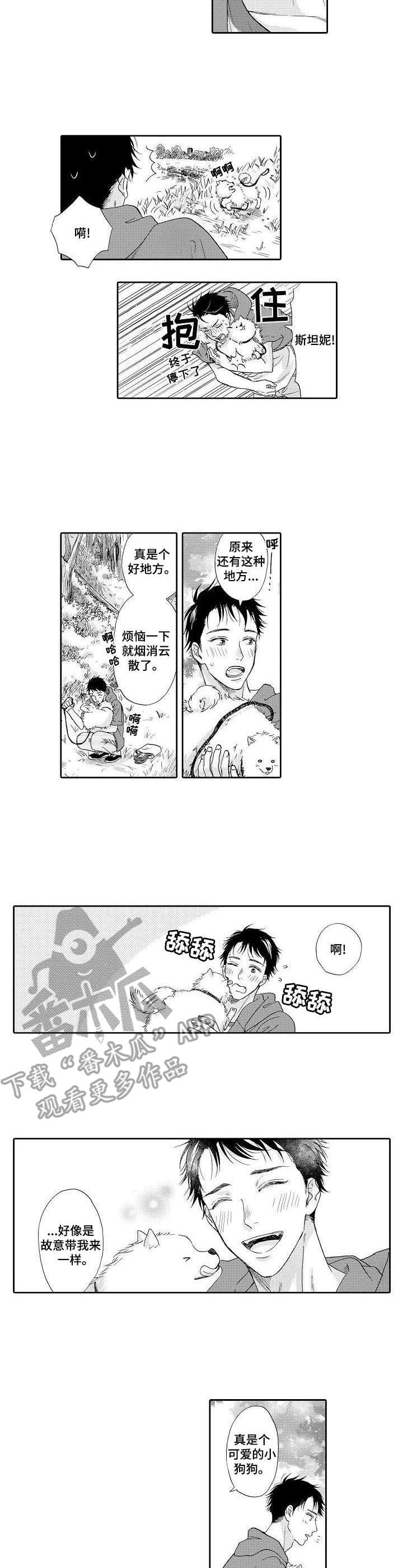 第12章：散步4