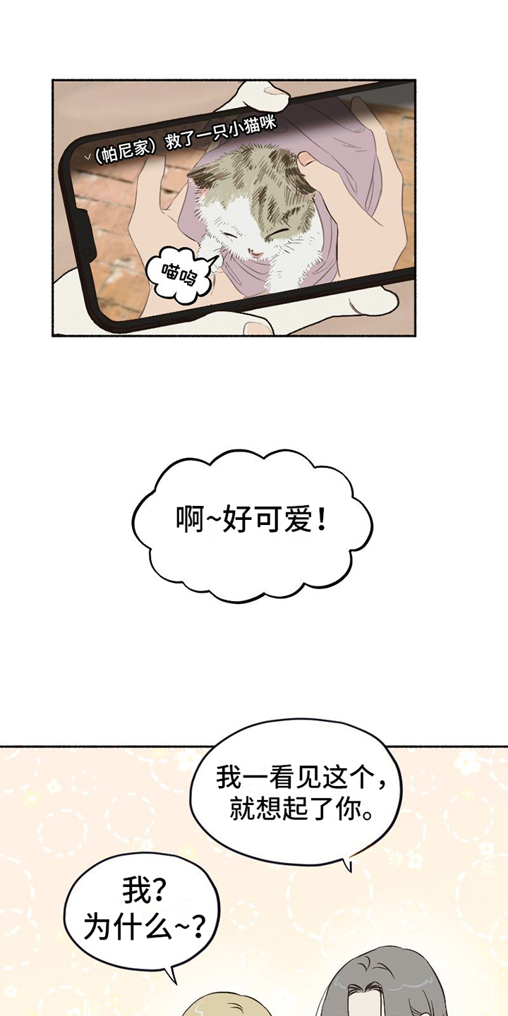 第1章：单纯1