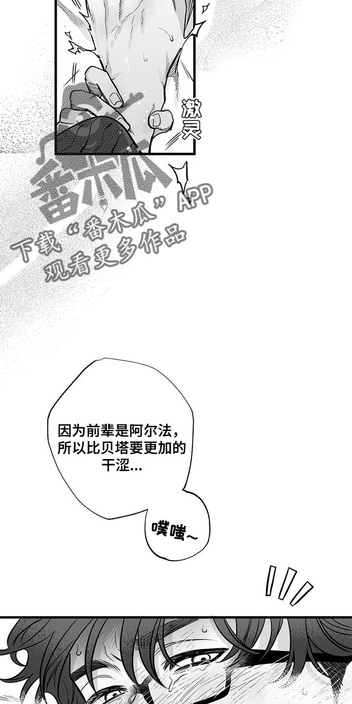 第14章：驯服4