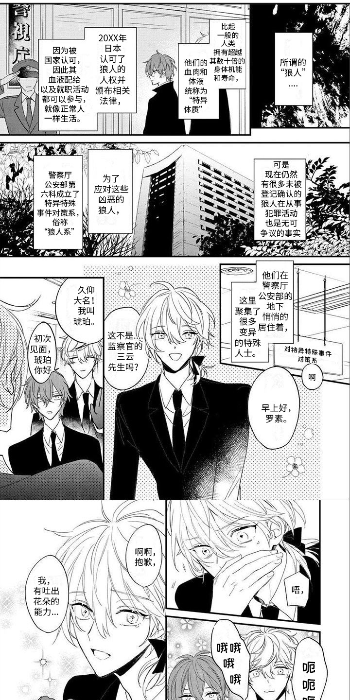 第2章：补血0