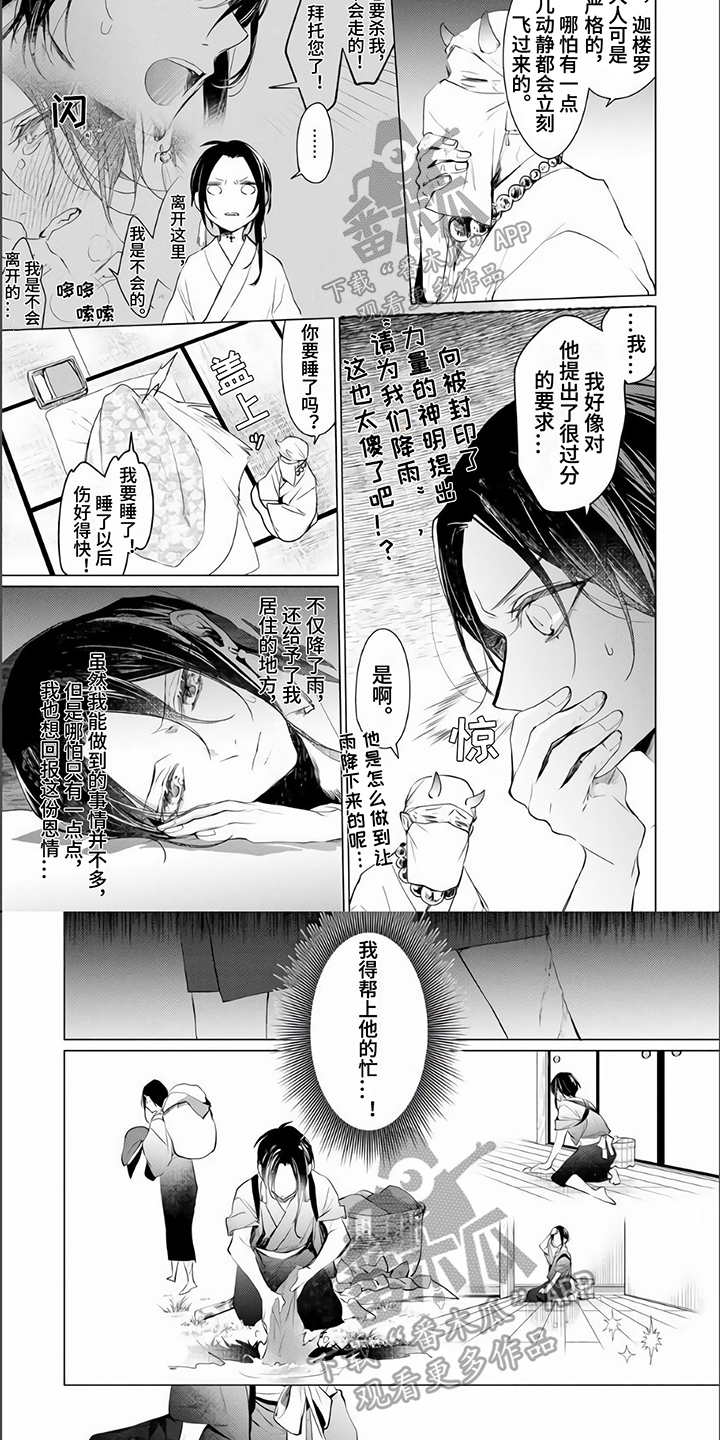 第8章：理解4