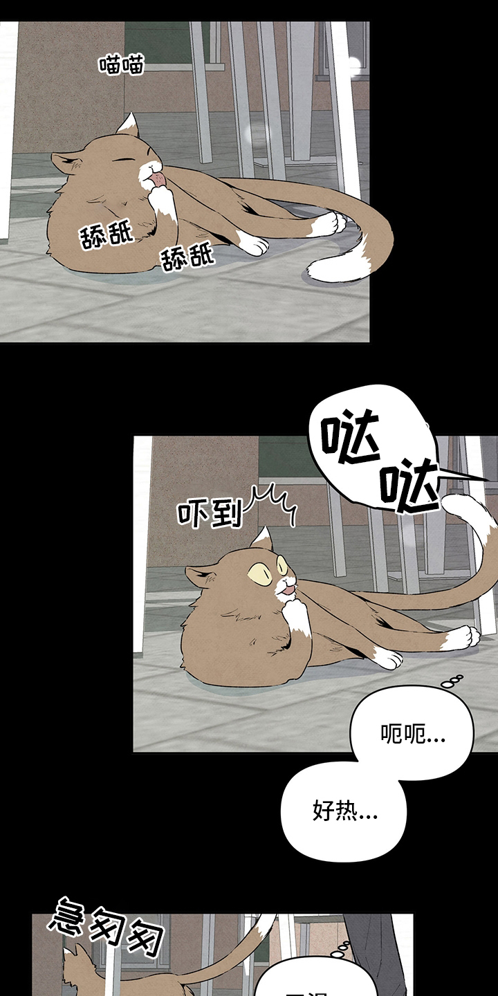 第88章：朋友1
