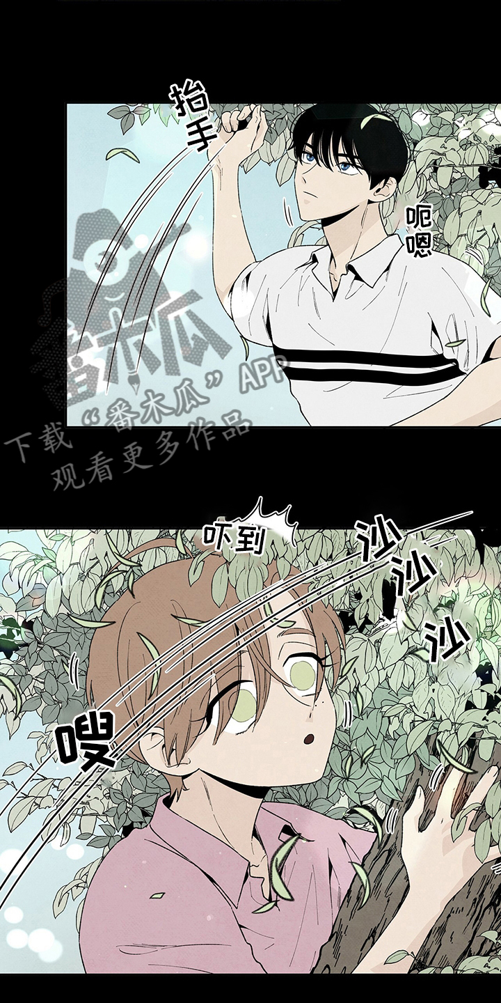 第102章：爸爸3