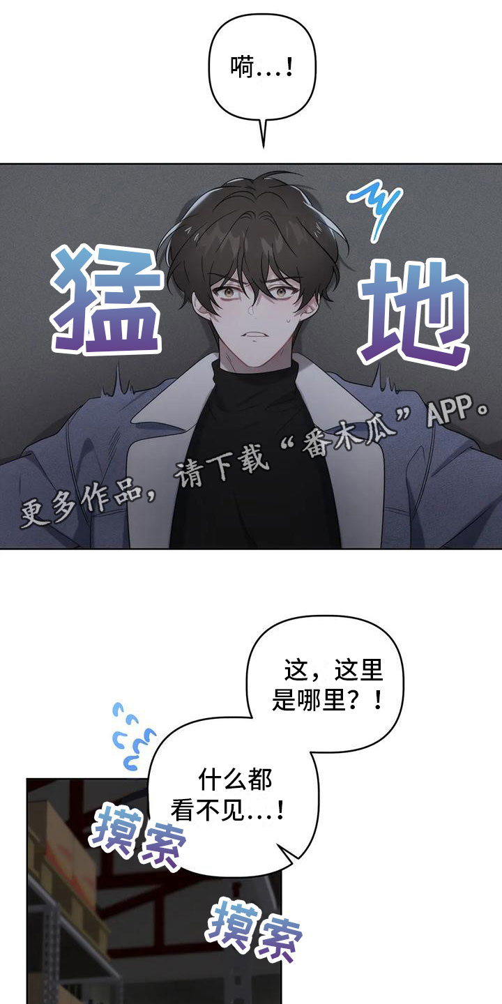 第6章：发挥条件0