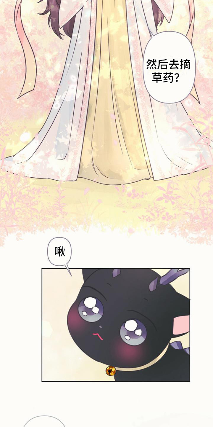 第11章：装可爱2