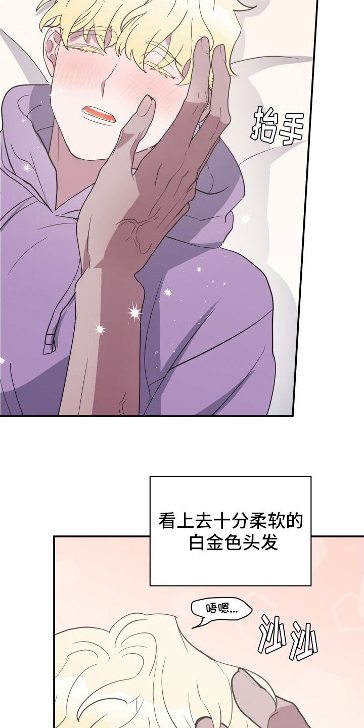 第3章：品种1