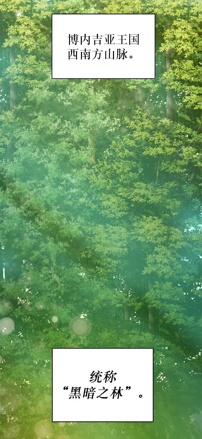 [第11话] 黑暗之林与精灵2